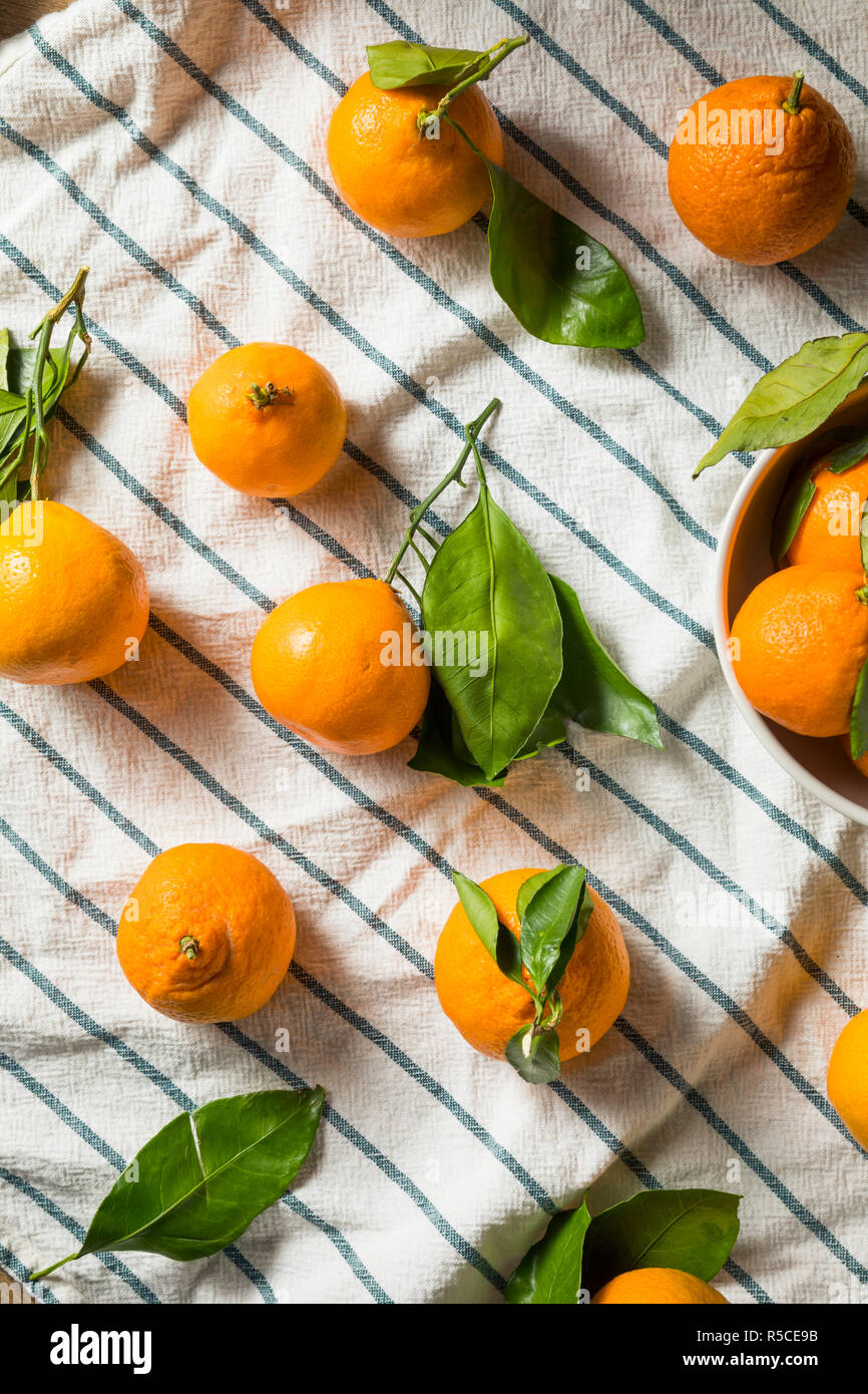 Raw Organic Mandarinen mit grünen Blättern Stockfoto