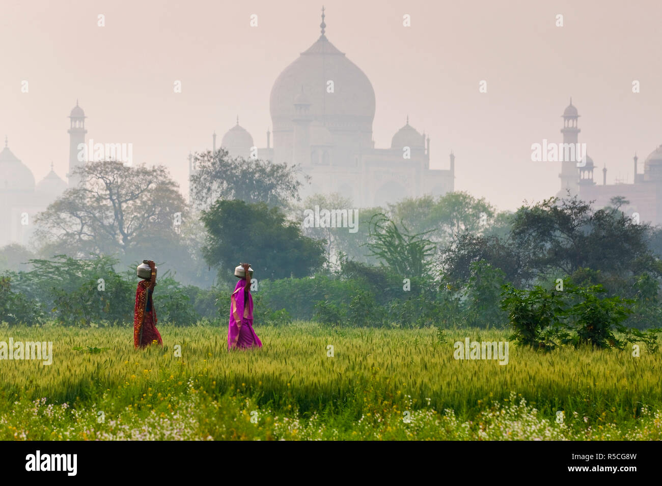 Frauen, die Wasser Töpfe, Taj Mahal, Agra, Indien Stockfoto