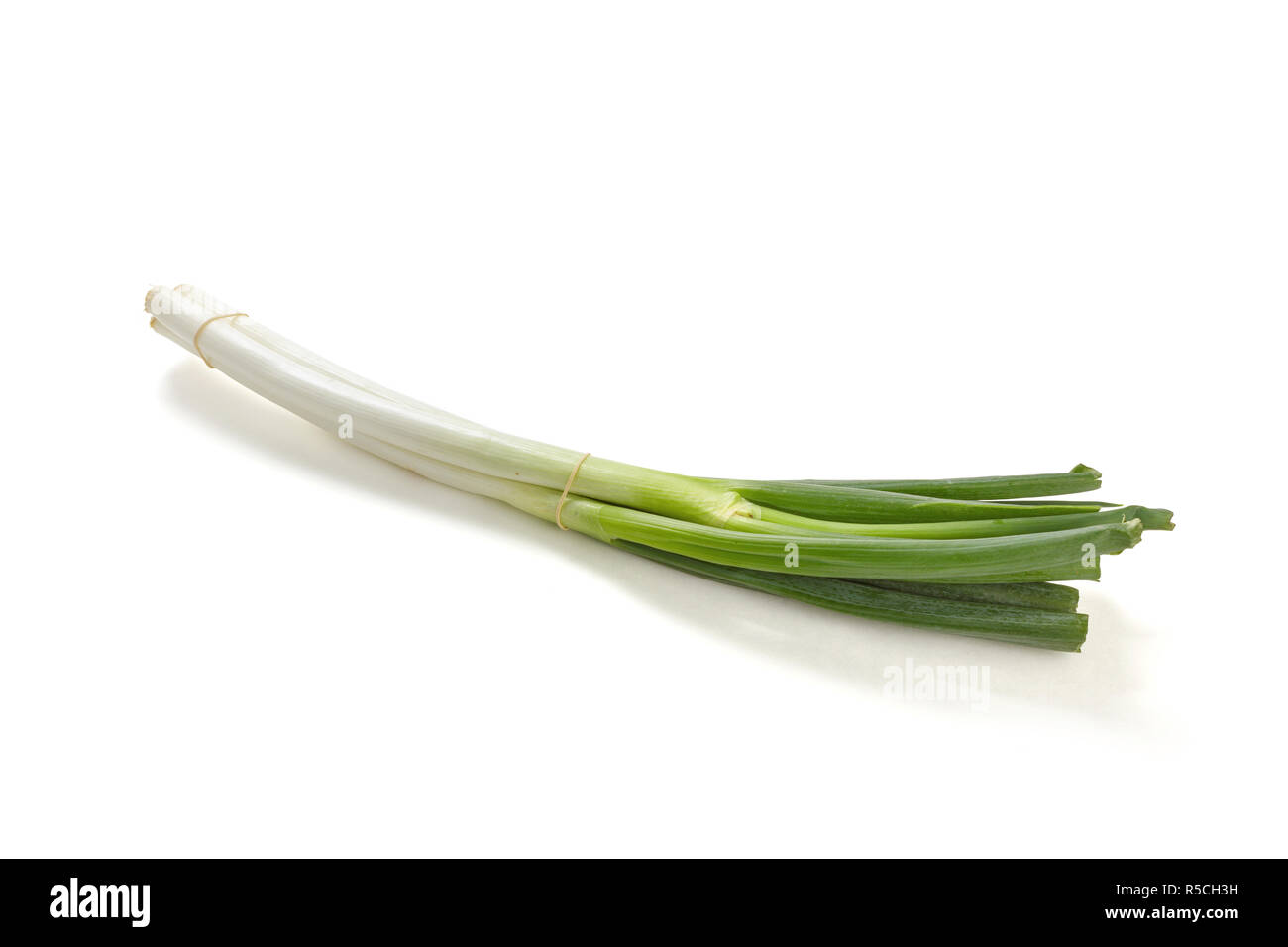Frische grüne Lauch Zwiebel auf weißem Hintergrund Stockfoto