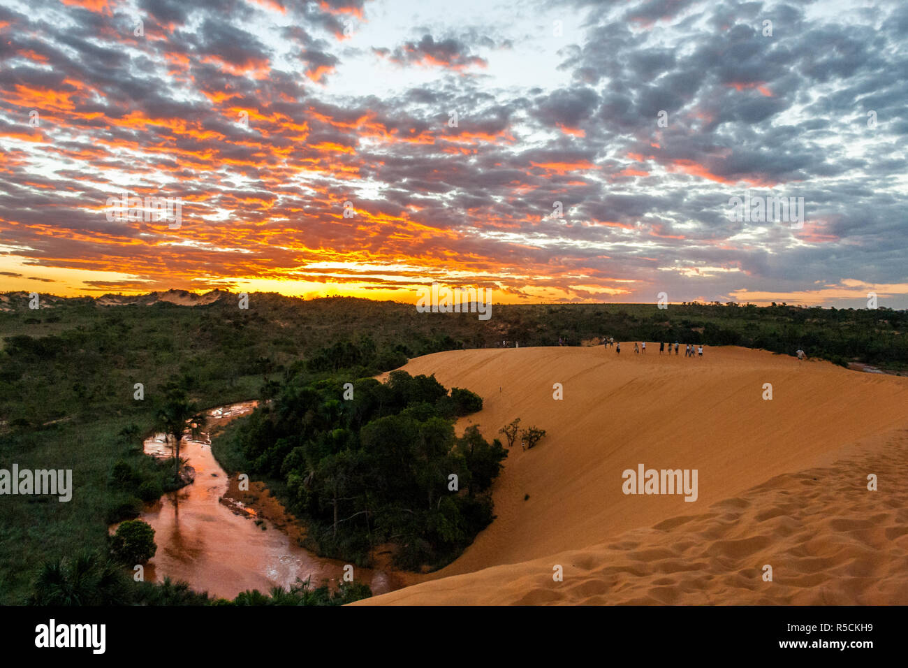 Dunas tun Jalapão Stockfoto