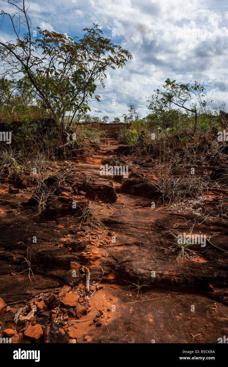 O Cerrado Stockfoto