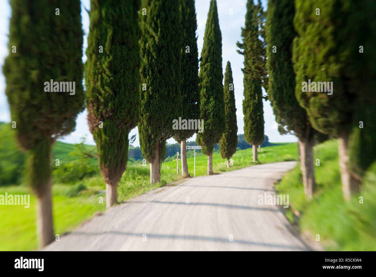 Kurvenreiche Straße, nr Pienza, Toskana, Italien Stockfoto
