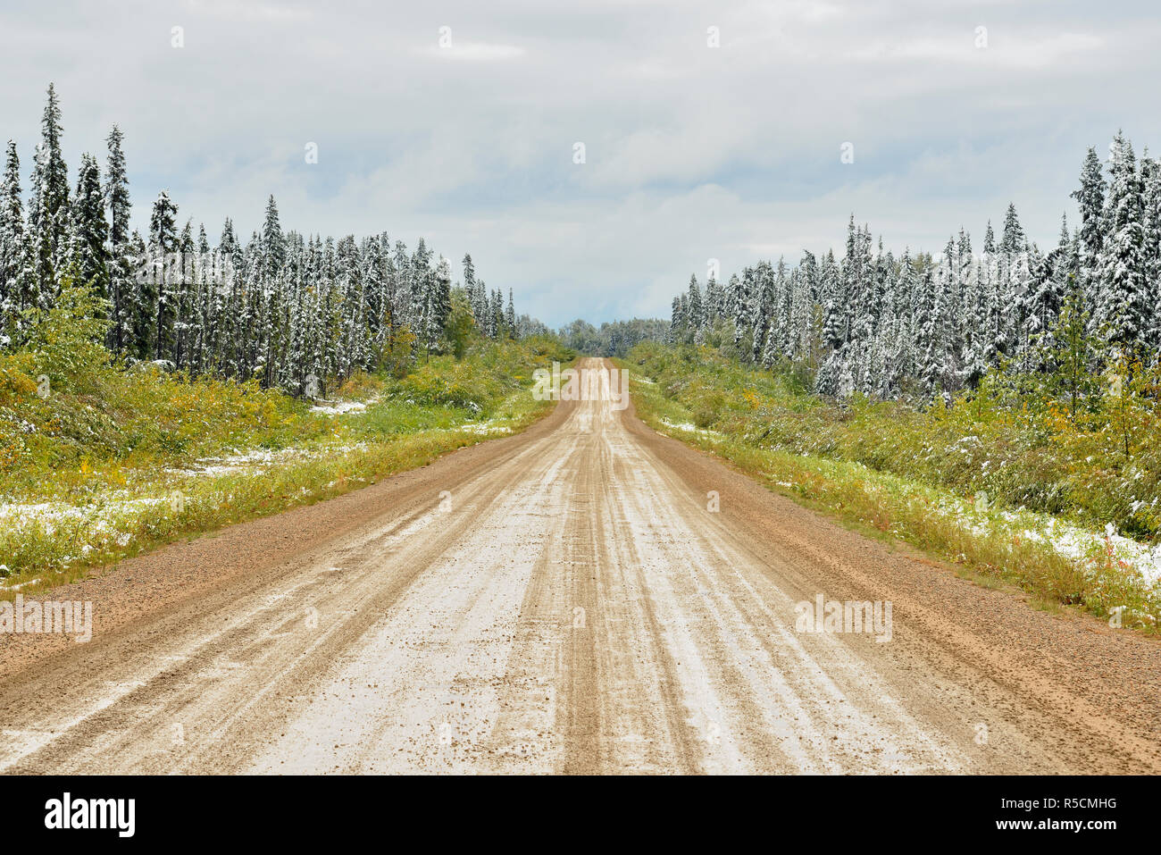 Die liard Trail nach dem Herbst Niederschlag, Liard Trail, Northwest Territories, Kanada Stockfoto