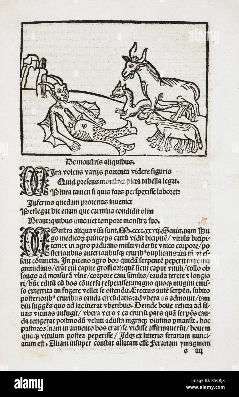 Ein seeungeheuer zeigt eine Passage aus bracciolini "Facetiae". [Fabeln.] Lat. Quelle: 86. k.1, f. siiii. Sprache: Latein. Stockfoto