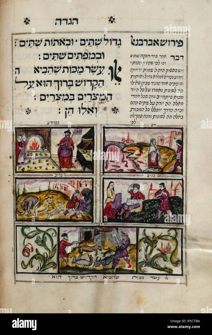 Fünf der zehn Plagen. Pessach Haggada. Hamburg und Altona, 1740. Fünf der zehn Plagen, dass der Herr der Heerscharen auf nach Ägypten geführt: Blut, Frösche, Läuse, Tiere, Krankheiten von der Viehzucht. Bild von Pessach Haggada. Ursprünglich veröffentlicht in Hamburg und Altona, 1740 produziert. . Quelle: Hinzufügen. 18724, f. 16 v. Sprache: Hebräisch. Autor: Jakob ben Juda Leib von Berlin. Stockfoto