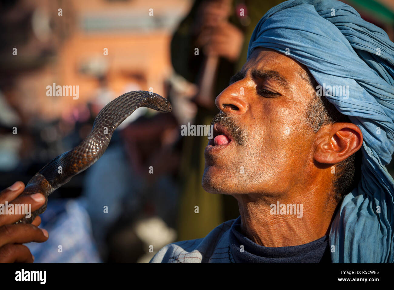 Schlangenbeschwörer, Djemaa el-Fna, der Medina, Marrakesch, Marokko (MR) Stockfoto