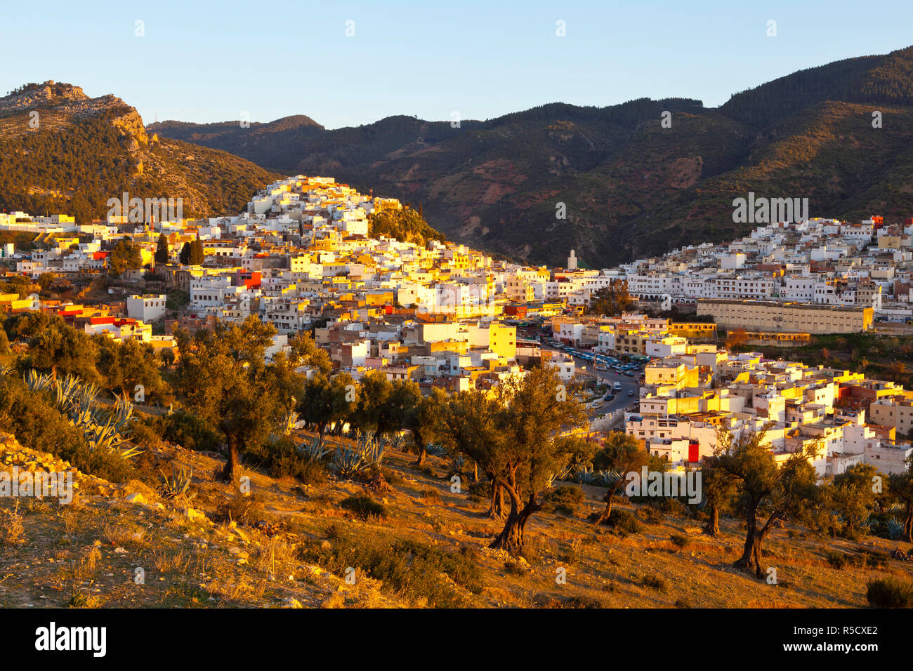 Erhöhte Blick über Moulay Idriss, Marokko Stockfoto