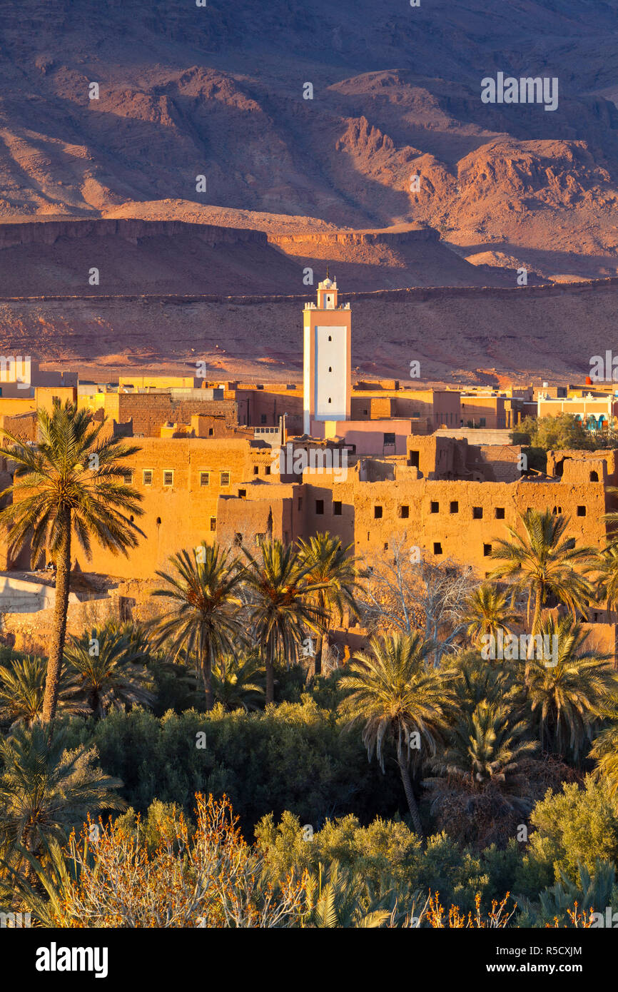 Tinerhir Kasbahs & Palmenhaus beleuchtet bei Sonnenuntergang, Tinghir, Marokko Stockfoto