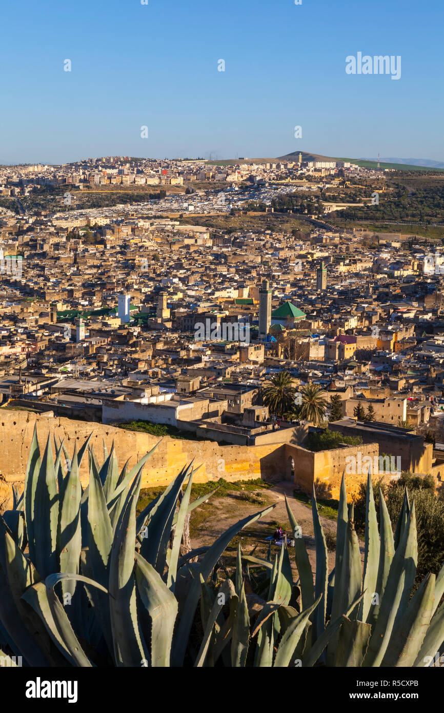 Erhöhte Ansicht über der alten Medina von Fes, Fes, Marokko Stockfoto