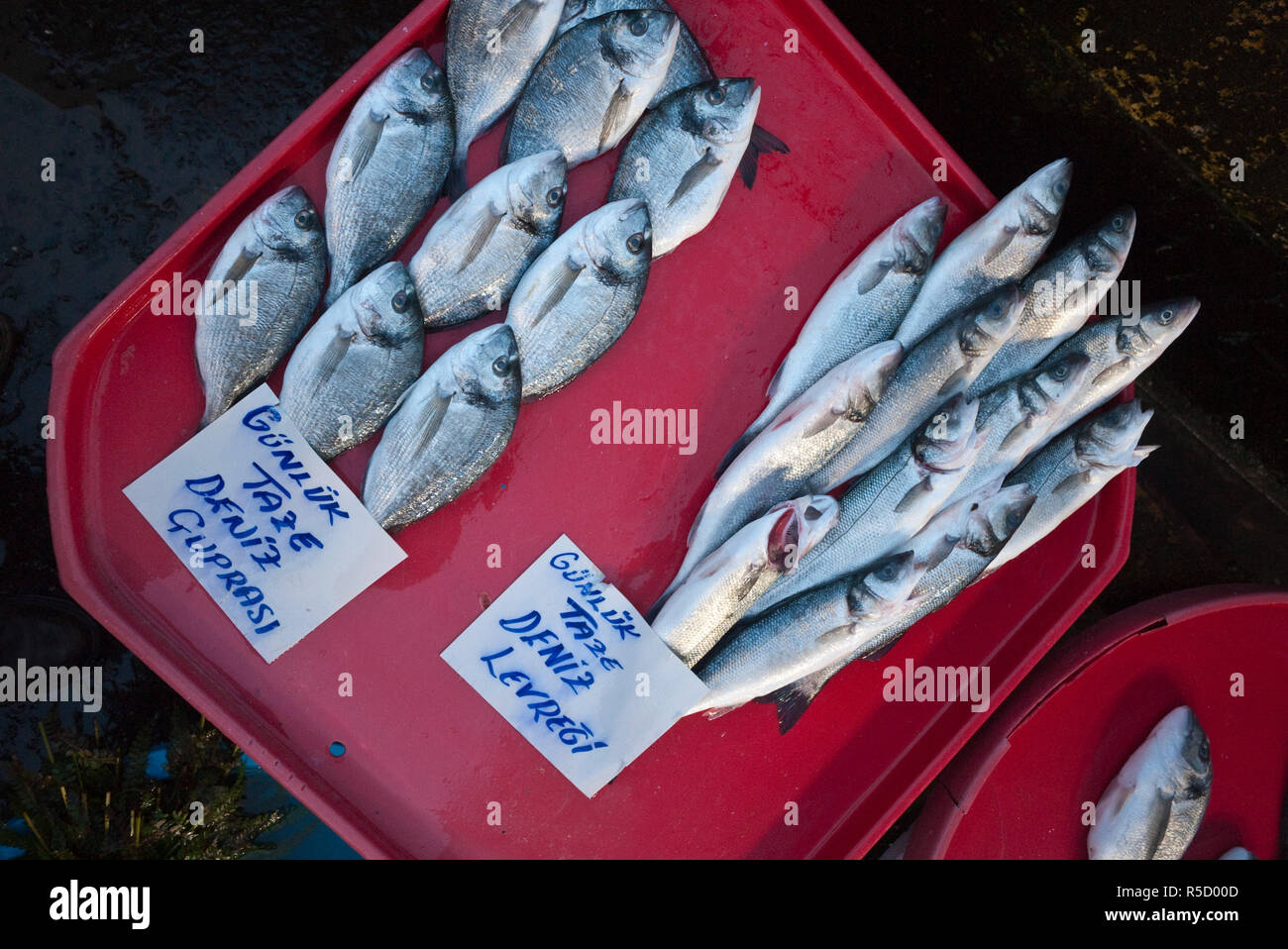 Fischmarkt am Ufer des Goldenen Horns, Istanbul, Türkei Stockfoto