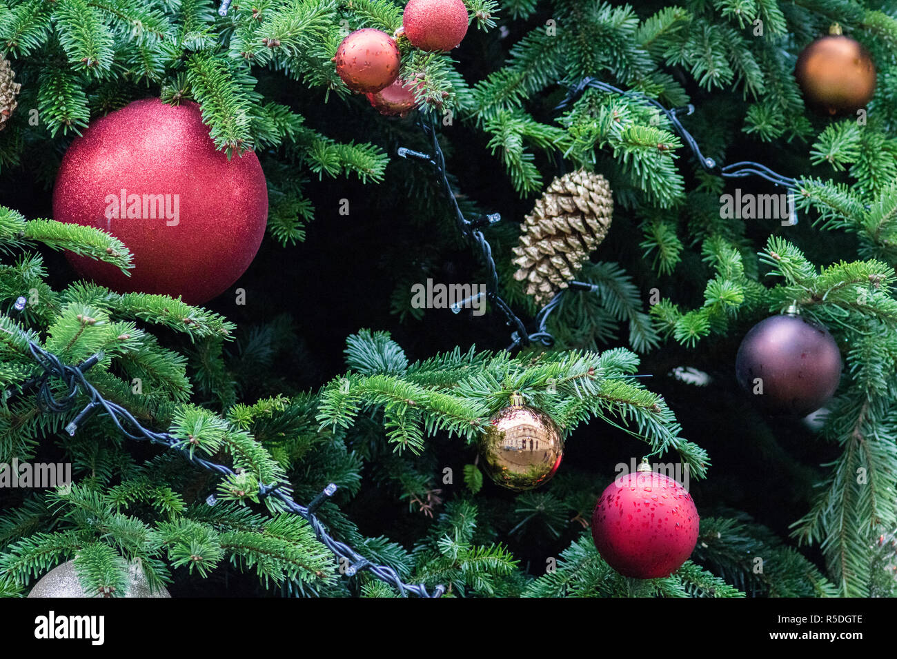 Downing Street, London, UK. 1. Dezember 2018. Eine riesige Tanne Weihnachtsbaum mit Dekorationen ist vor dem Premierminister in Downing Street 10 in London installiert. Premierminister Theresa May hat gedroht, zu 'Weihnachten' für Brexit abbrechen, wenn Sie verliert die sinnvolle Abstimmung am 11. Dezember und Brexit Abkommen Abkommen abgelehnt wird. Credit: Amer ghazzal/Alamy leben Nachrichten Stockfoto