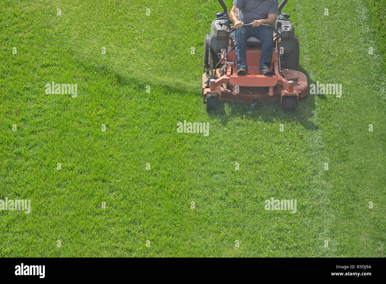 Nahaufnahme einer Reitschule Gärtner auf der Rasenmäher schneiden das Gras Stockfoto