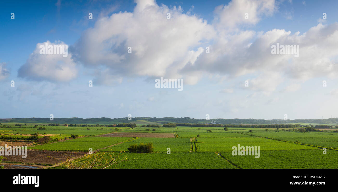 Erhöhte Blick über Morant Pt Zuckerrohr Felder & Zuckerfabrik, St. Thomas, Ostküste, Jamaika, Karibik Stockfoto