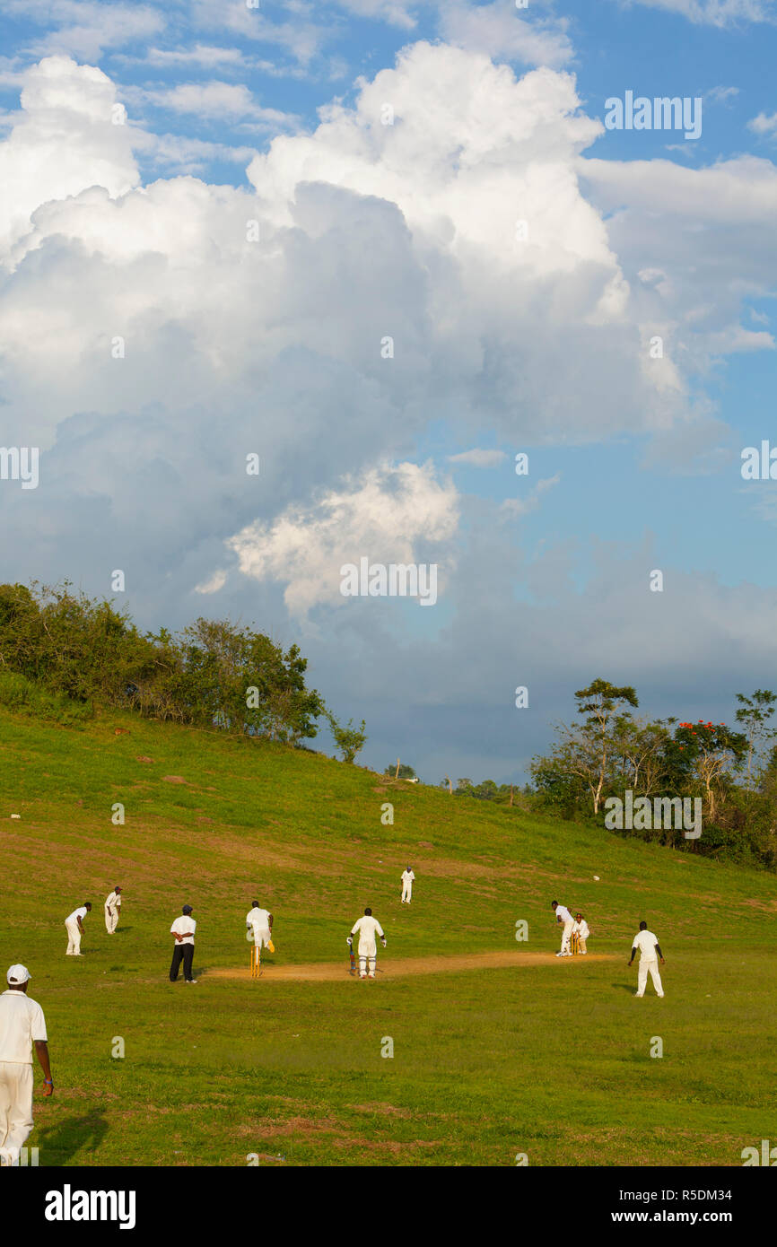 Lokale Cricket Match, Saint Ann Parish, Jamaika, Karibik Stockfoto