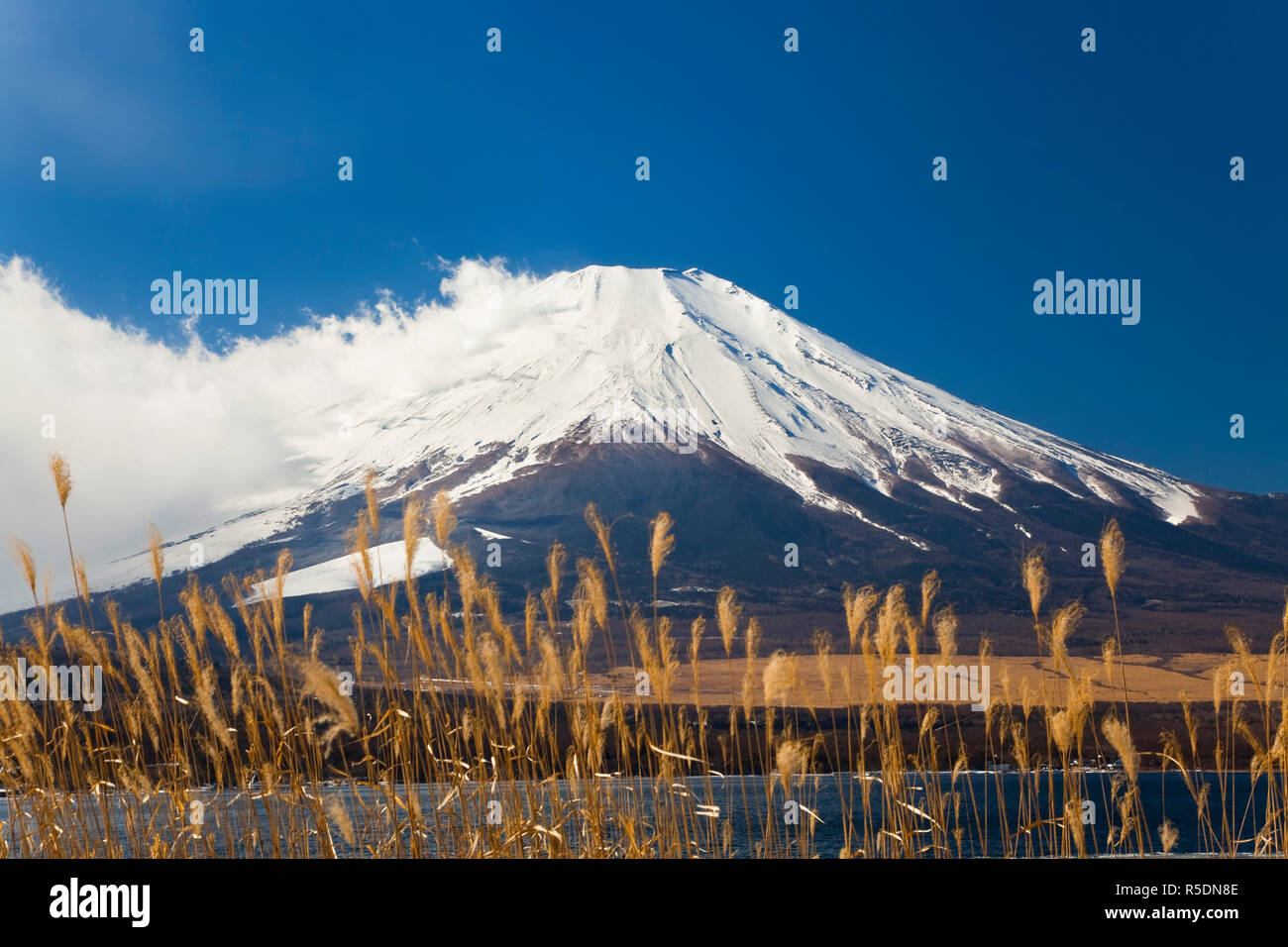 Mount Fuji, Japan Stockfoto