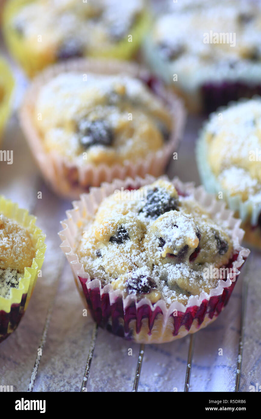 Blueberry Muffins vertikale Stockfoto
