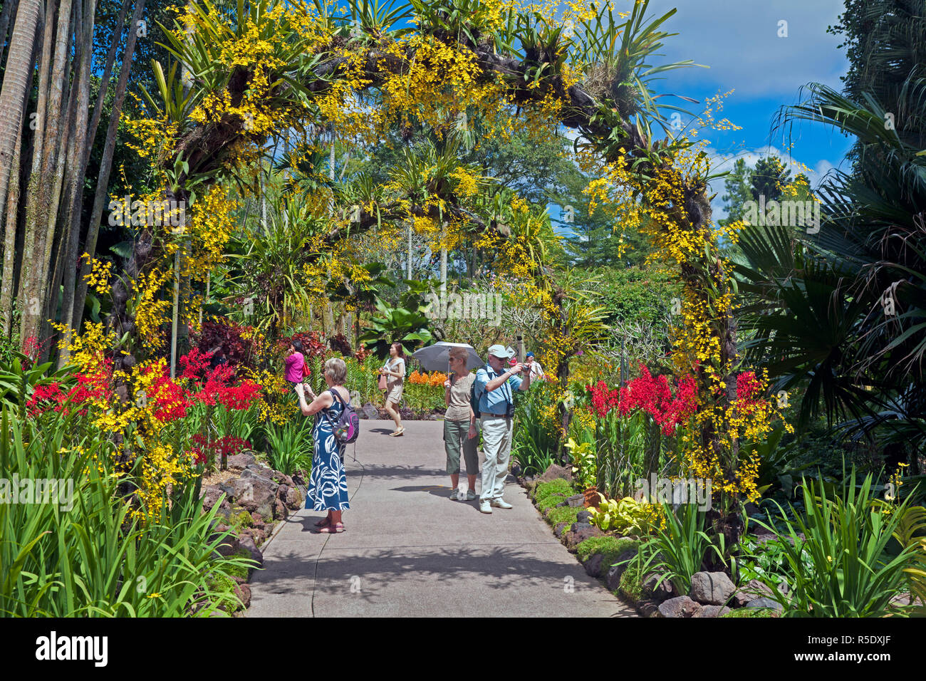 Singapur Singapur Botanische Garten National Orchid Garden
