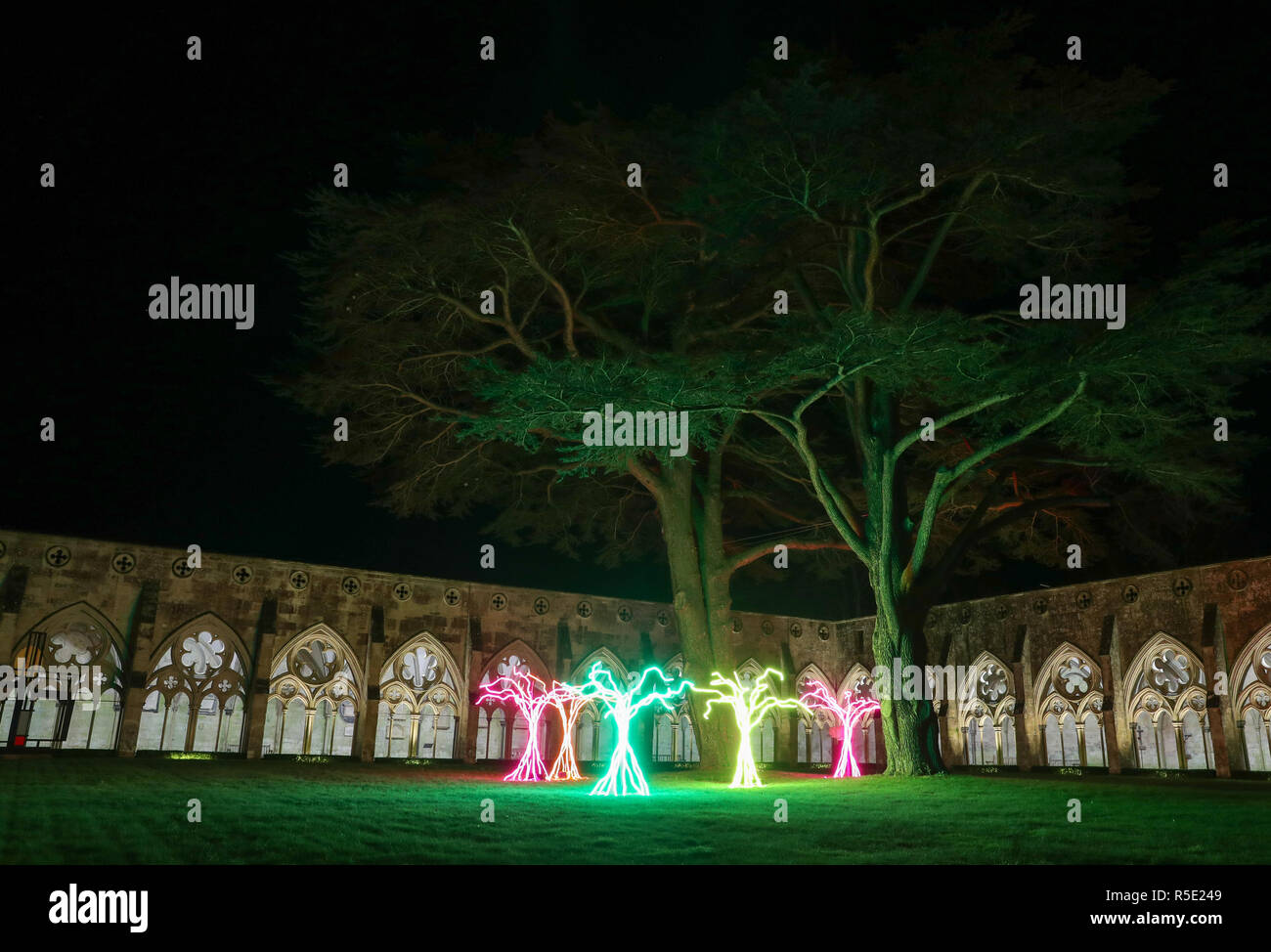 Fünf Baum wie Strukturen, aus denen die Kunst Stück 'Lumen', in den Kreuzgang Garth sitzen, bei der Vorstellung der Kathedrale von Salisbury beleuchtet Advent Kunstinstallationen, von der Dunkelheit zum Licht. Stockfoto