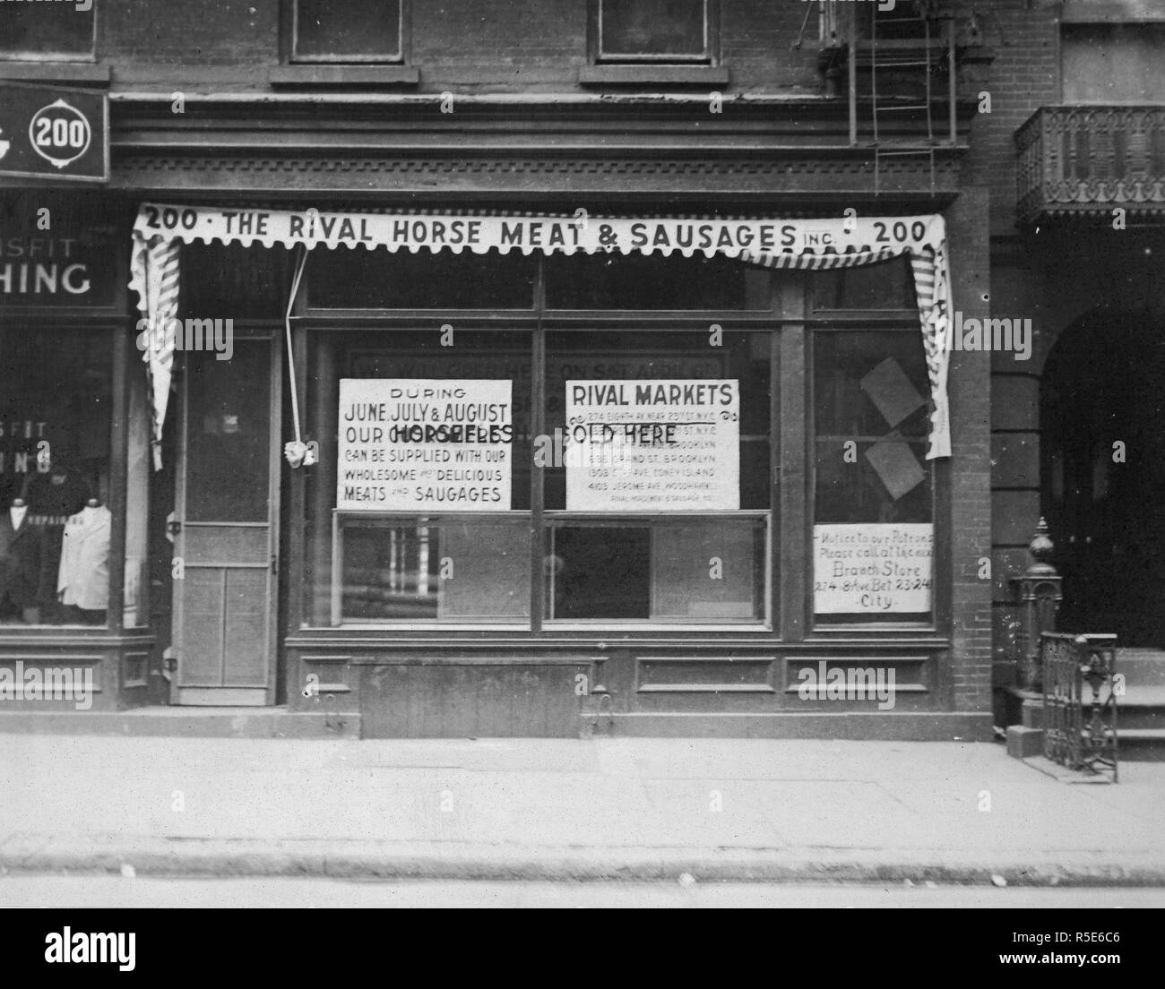 Essen Verwaltung - Anti-Waste Kampagne - Pferdefleisch in New York City verkauft. Ein Pferd Fleisch Shop geöffnet an 200 West 40th Street, wo Pferd Fleisch verkauft wird. Juni 1918 Stockfoto
