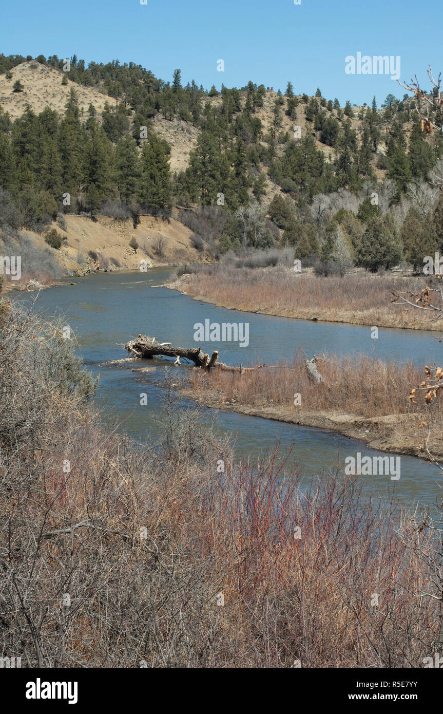 Piedra Flusses, südlichen Ute Reservierung, Colorado. Digitale Fotografie Stockfoto