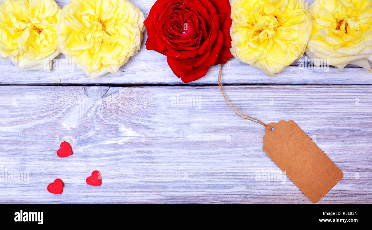 Knospen der Rosen und Papier tag auf einem Seil Stockfoto