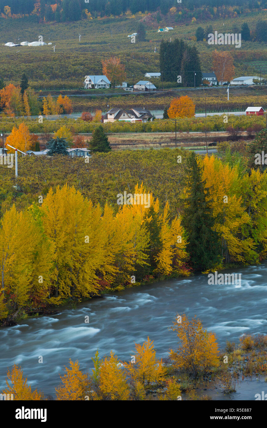 Herbst Farbe entlang des Wenatchee Fluss- und Obstgärten in der Nähe der Stadt Dryden, Washington. USA Stockfoto