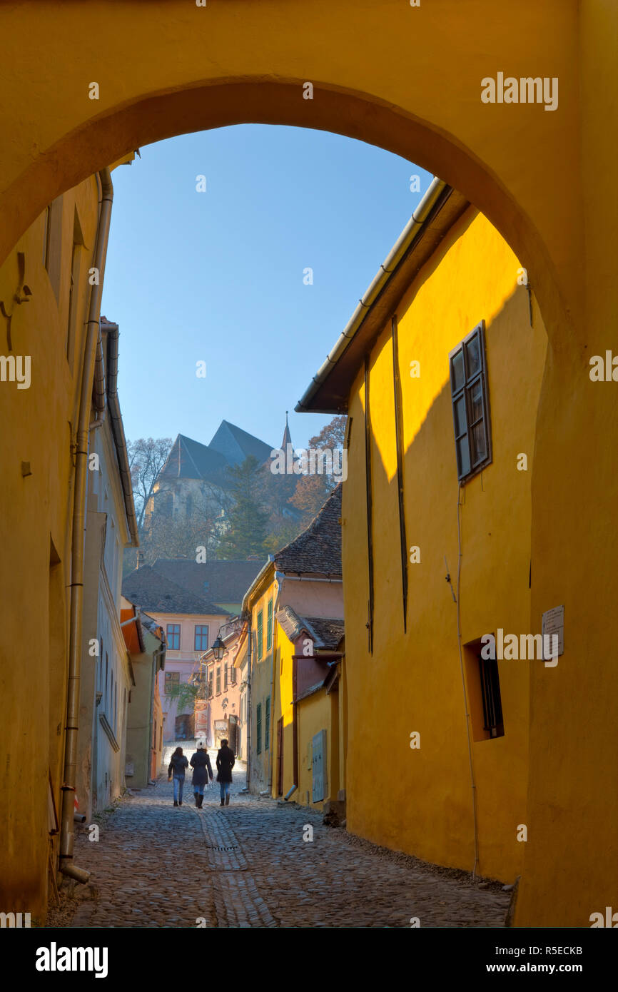 Straße mit Kopfsteinpflaster in der mittelalterlichen Stadt Sighisoara, Schäßburg, Siebenbürgen, Rumänien Stockfoto