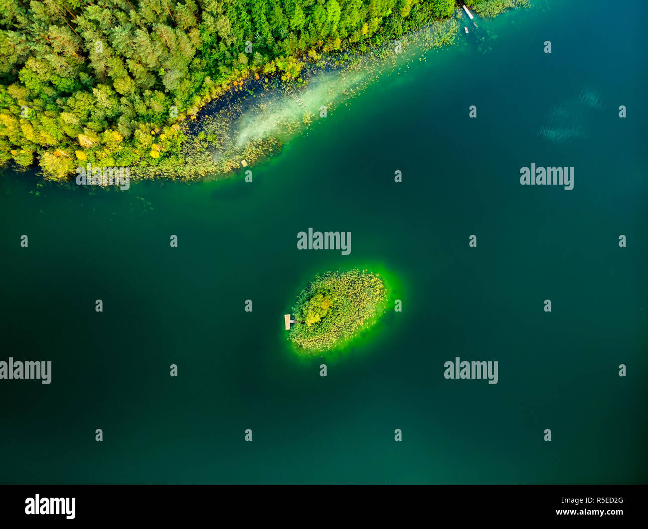 Luftbild von Oben nach Unten Blick auf die kleine Insel. Vögel Auge Ansicht der schönen grünen Wasser des Sees Gela umgeben von Pinienwäldern. Wolken in Gela See widerspiegeln Stockfoto