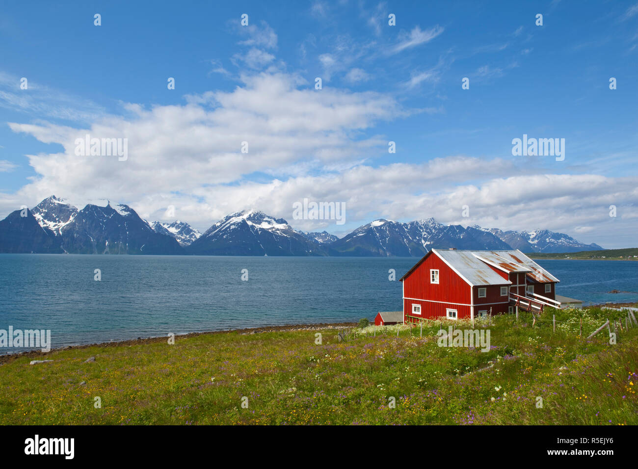 Scheune, Fjord und Gebirge, Djupvik, Lyngen Fjord, Troms, Norwegen Stockfoto