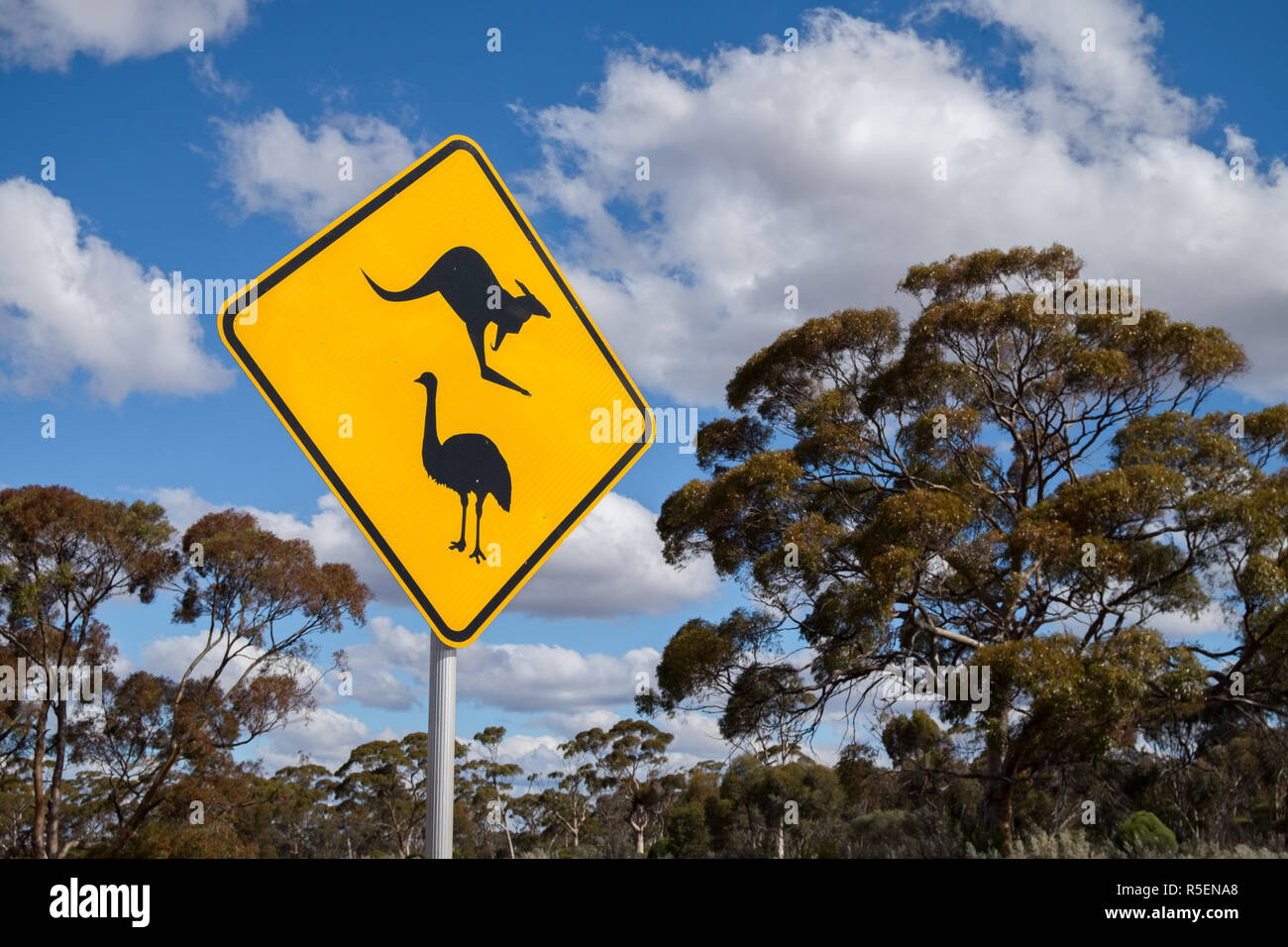Känguru und Emu Kreuzung Warnschild in ländlichen Western Australia. Stockfoto