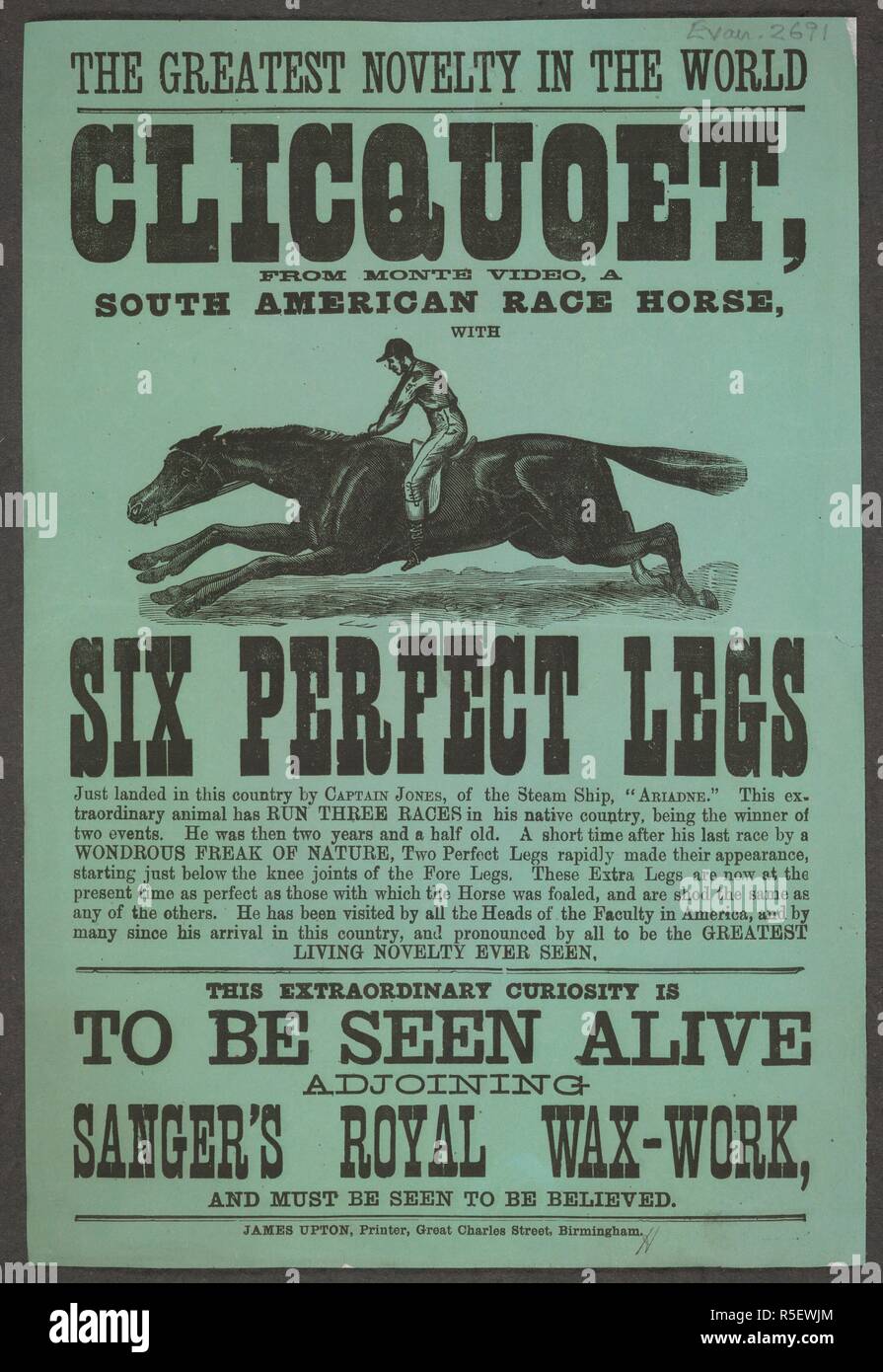 Download Neugier wird aus geboren For iPhone Free Neugier Wird Aus Geboren