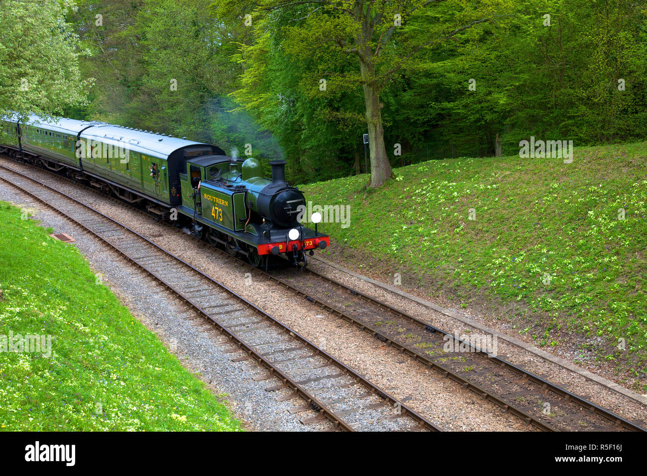 Dampfzug auf Bluebell Railway, Horsted Keynes, West Sussex, England, Großbritannien Stockfoto