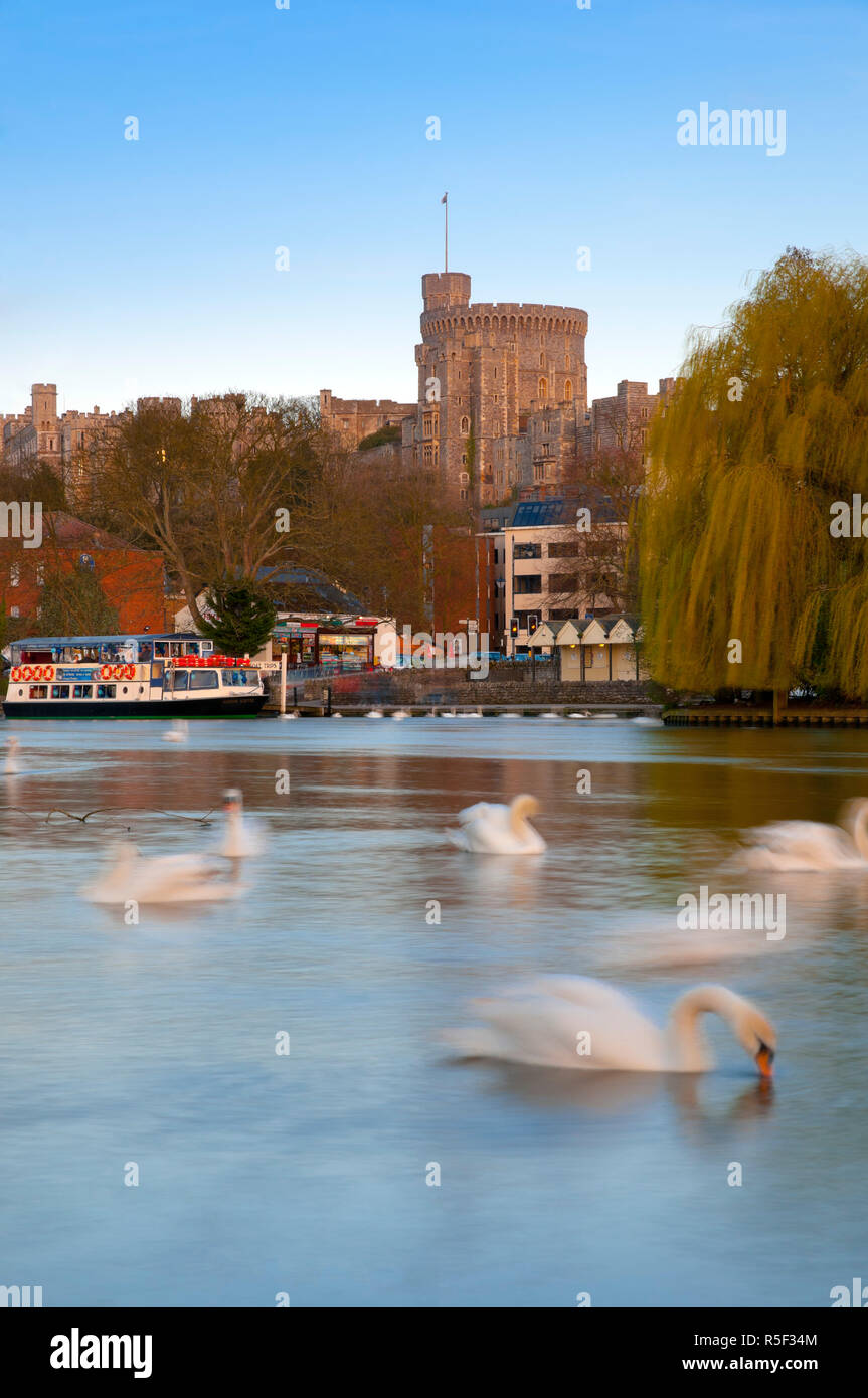 Großbritannien, England, Berkshire, Windsor, Windsor Castle und die Themse Stockfoto