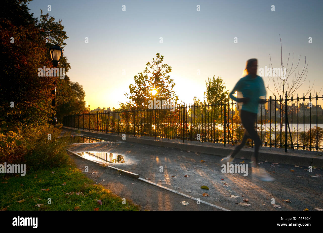 USA, New York, Manhattan, Central Park, Morgen Jogger Stockfoto