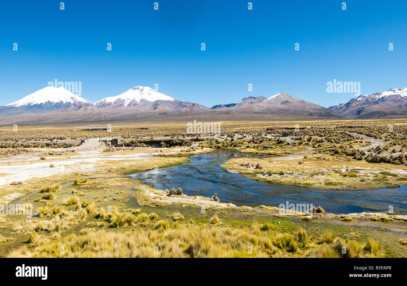 Hohen Anden-Tundra-Landschaft in den Bergen der Anden. Das Wetter Anden Hochland Puna Grünland Ecoregion von montane Wiesen und Strauch Stockfoto