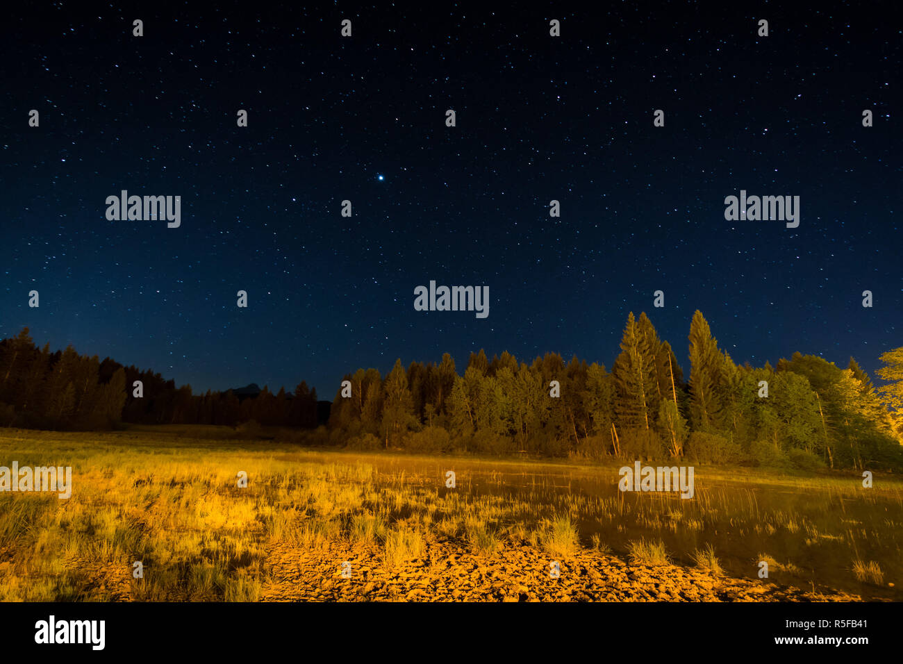 Moor und See in der Nacht unter Starlight Stockfoto