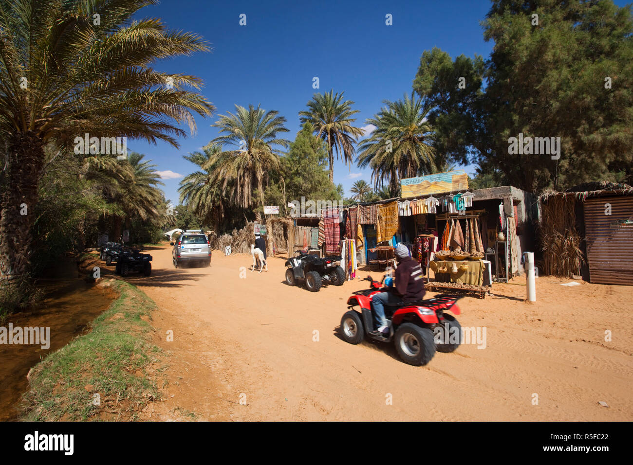 Tunesien, Ksour, Ksar Ghilane, 4x4 Buggy Stockfoto