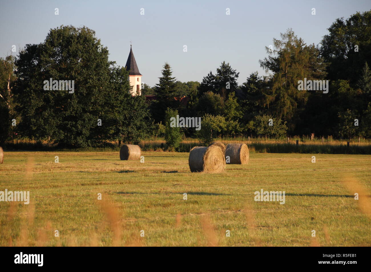 Heuballen im Sommer auf der Wiese Stockfoto