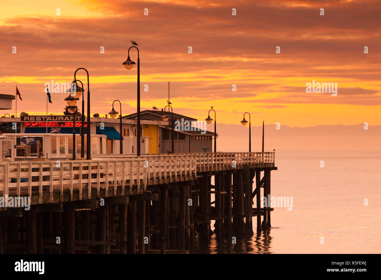 USA, Kalifornien, Central Coast, Santa Cruz, Municipal Wharf, dawn Stockfoto
