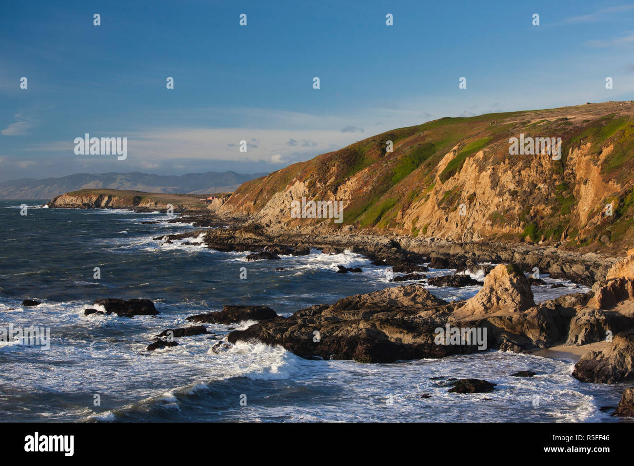 USA, California, Northern California, Nordküste, Bodega Bay, Bodega Head, am späten Nachmittag Stockfoto