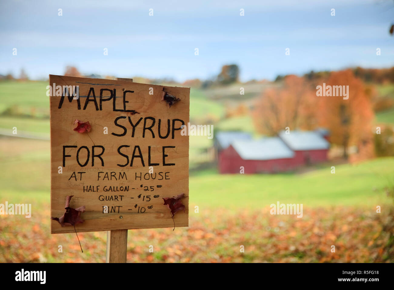 USA, Neuengland, Vermont, Woodstock, Jenne Farm Stockfoto