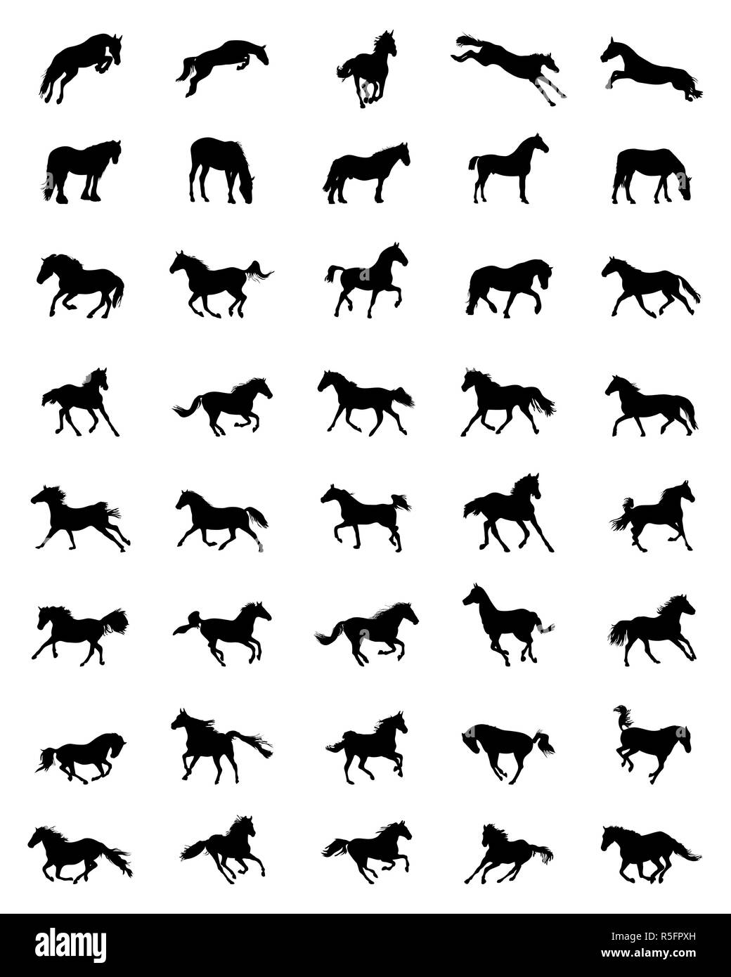 Schwarze Silhouetten von Pferden auf weißem Hintergrund Stockfoto