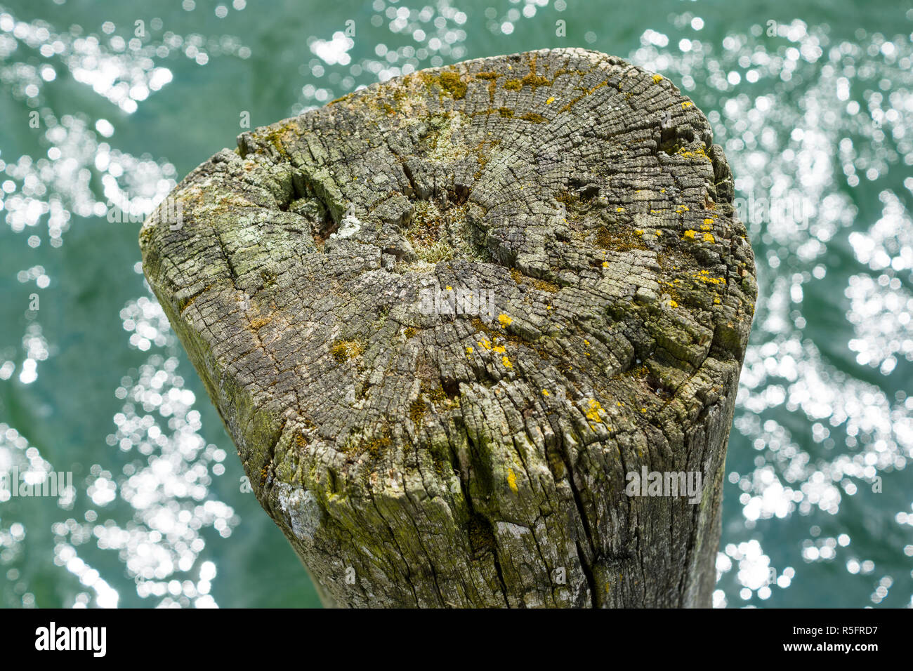 Der alten stumpf ragt aus dem Wasser. Hintergrund. Stockfoto