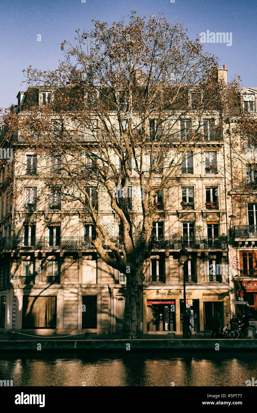 Advent Weihnachtsbaum gegen ein Gebäude in Paris. Ein Baum Blätter verlieren am Ufer des Canal Saint Martin in Paris. Stockfoto