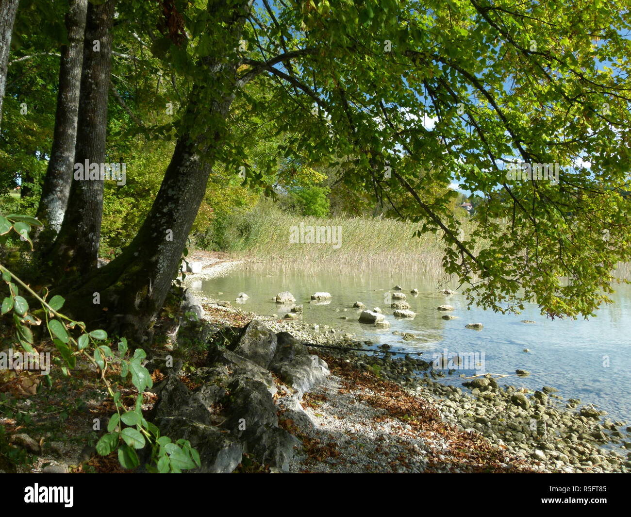 Am Ufer des Tegernsees im Herbst Stockfoto