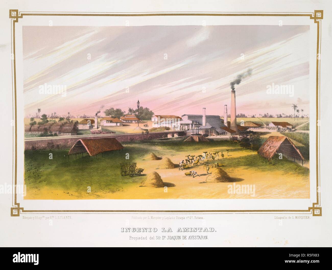 Angemessener Preis Super Qualitat Schone Schuhe Havanna Sprache