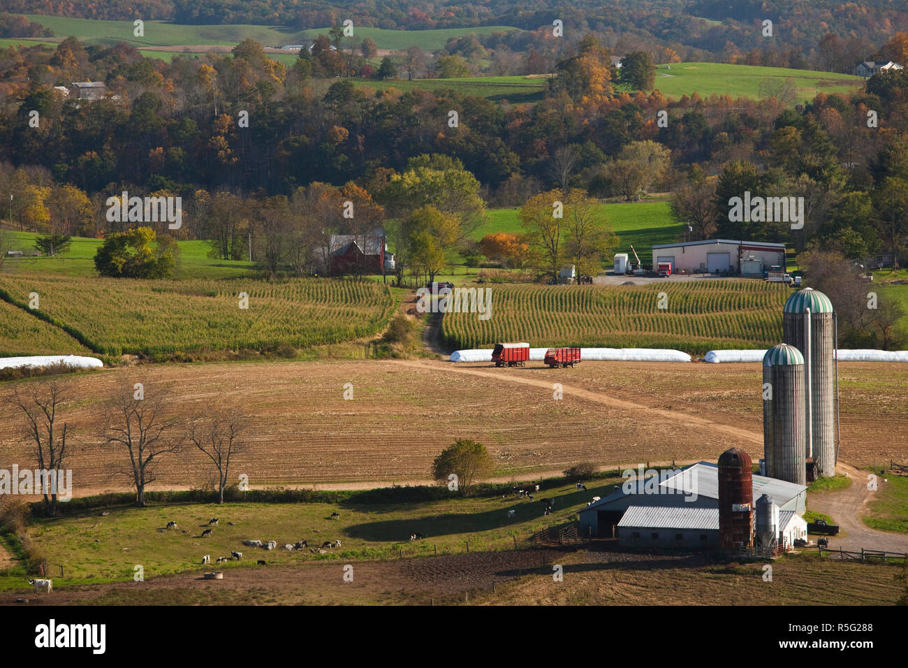 USA, West Virginia, Rennick, hohe Betrachtungswinkel der Farm Stockfoto