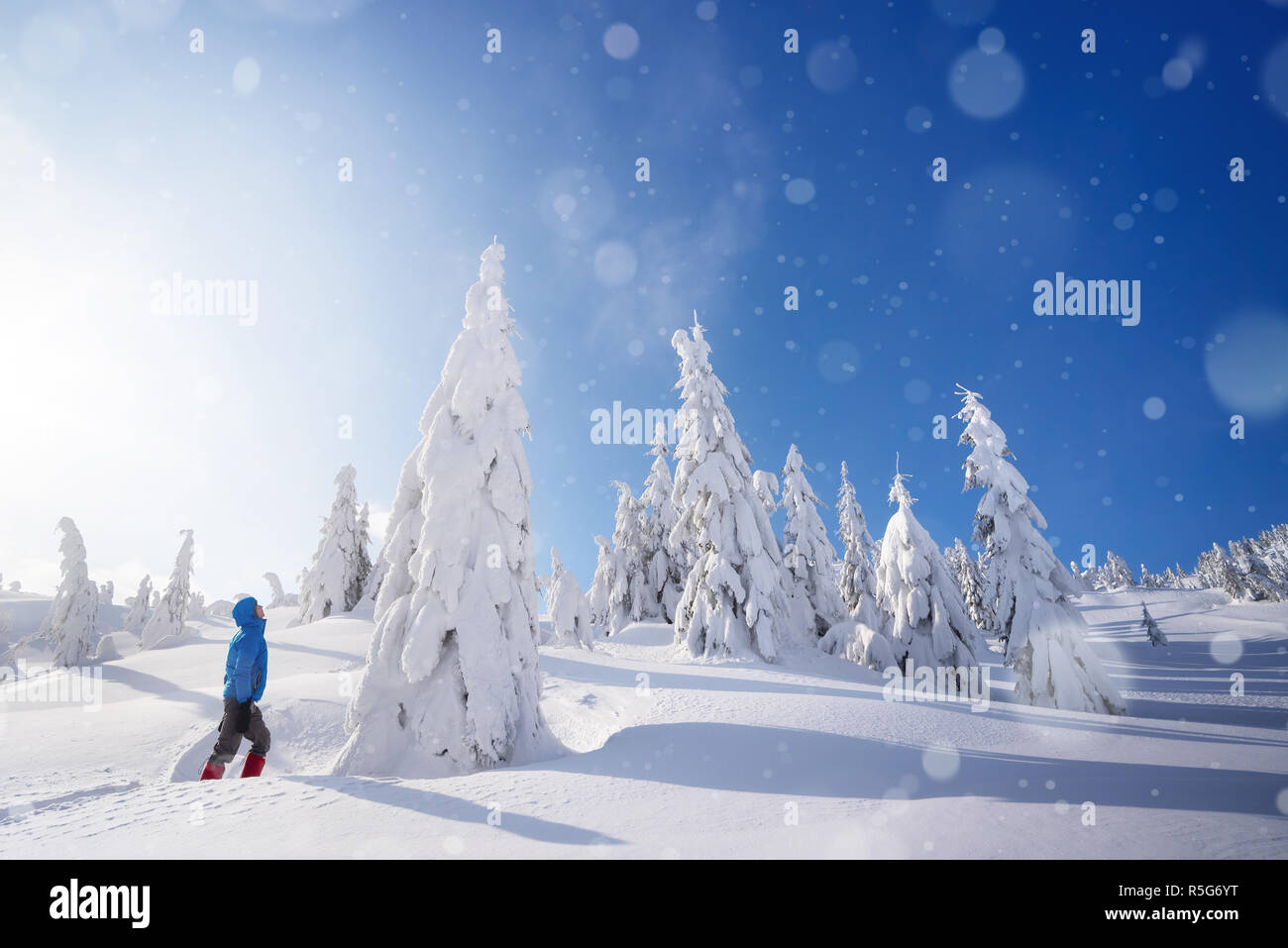 Super Winter Abenteuer in den Bergwald. Der Kerl steht in einer schneeverwehung und blickt auf eine große schneebedeckte Tanne. Sonniges Wetter mit Schneefall Stockfoto