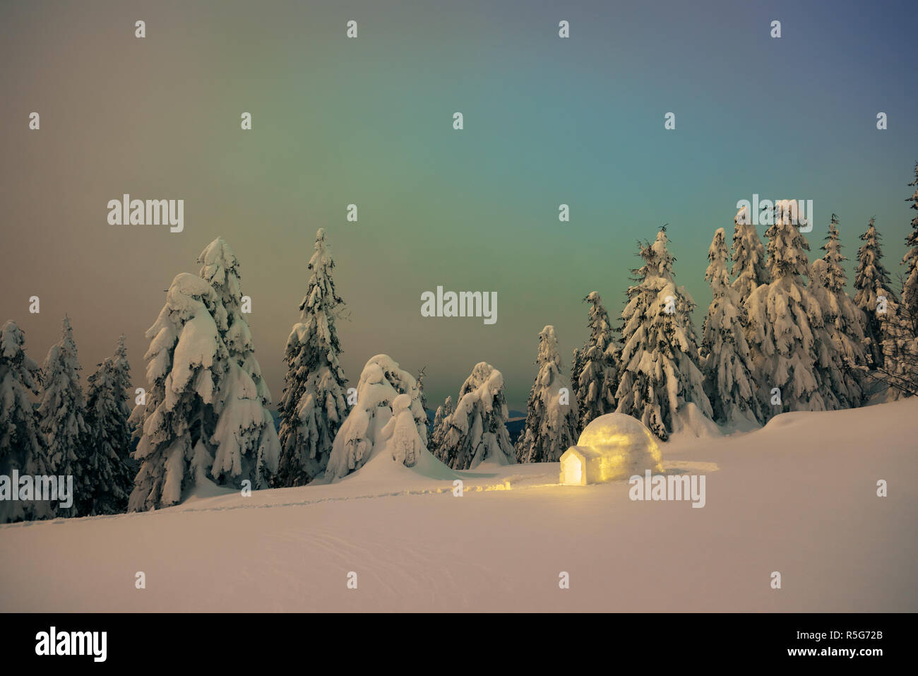 Iglu Schnee in einem Bergwald. Nachtansicht mit verschneiten Tannen. Verträumte Winterlandschaft Stockfoto