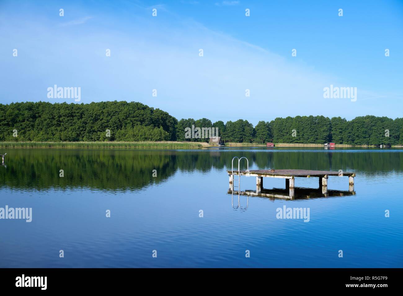 See bei Mirow in der mÃ¼ritz Nationalpark in Mecklenburg Vorpommern Stockfoto